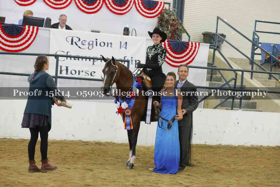 Proof Number 15R14_05903