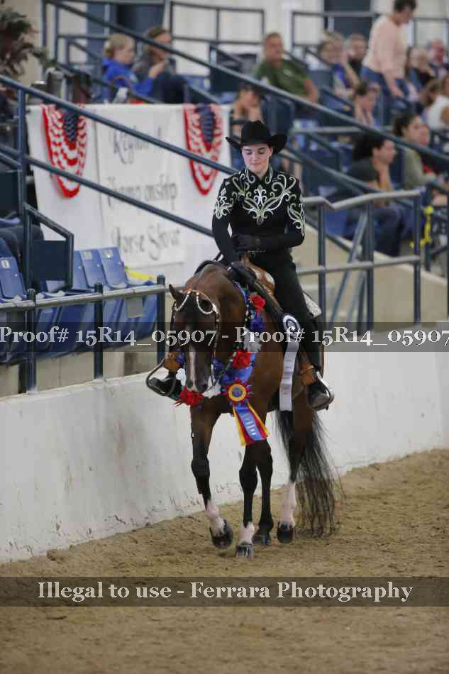 Proof Number 15R14_05907
