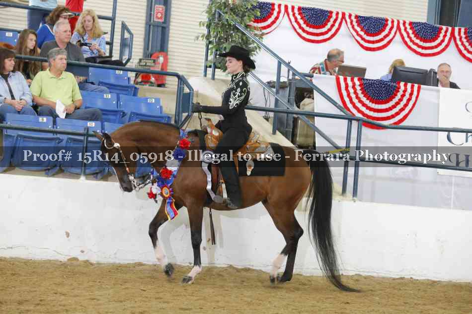 Proof Number 15R14_05918