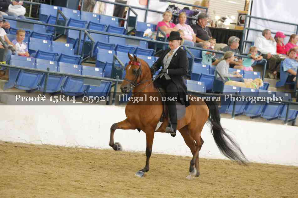 Proof Number 15R14_05921