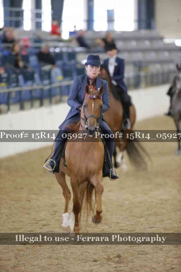Proof Number 15R14_05927