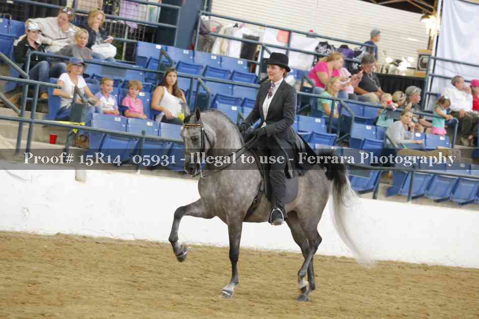 Proof Number 15R14_05931