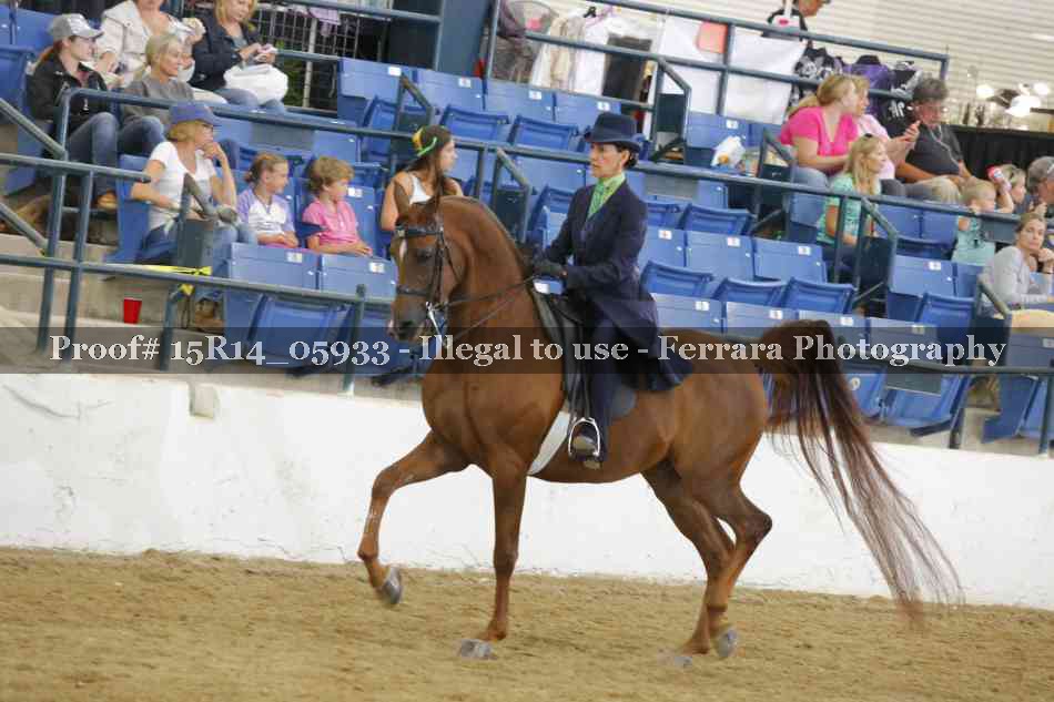 Proof Number 15R14_05933