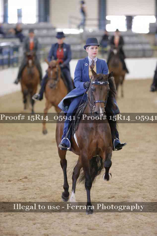 Proof Number 15R14_05941