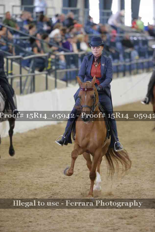 Proof Number 15R14_05942