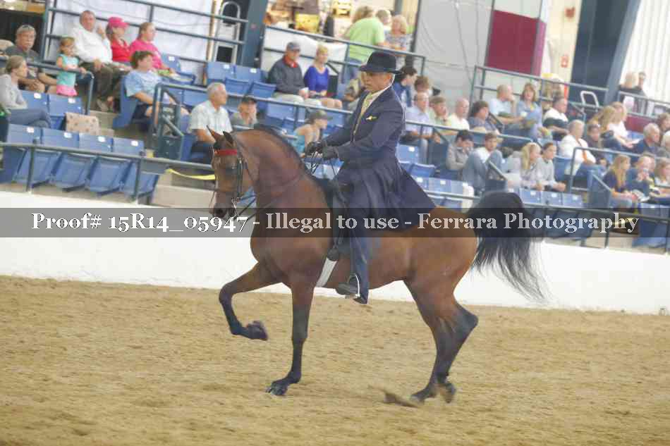 Proof Number 15R14_05947
