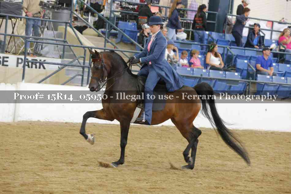 Proof Number 15R14_05950