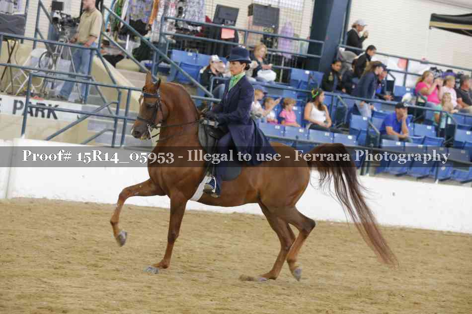 Proof Number 15R14_05953