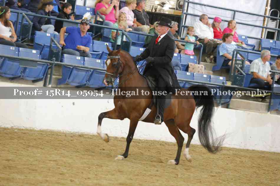 Proof Number 15R14_05954