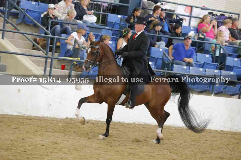 Proof Number 15R14_05955
