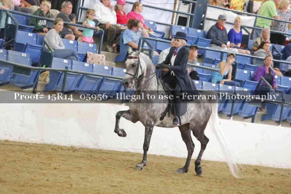 Proof Number 15R14_05956