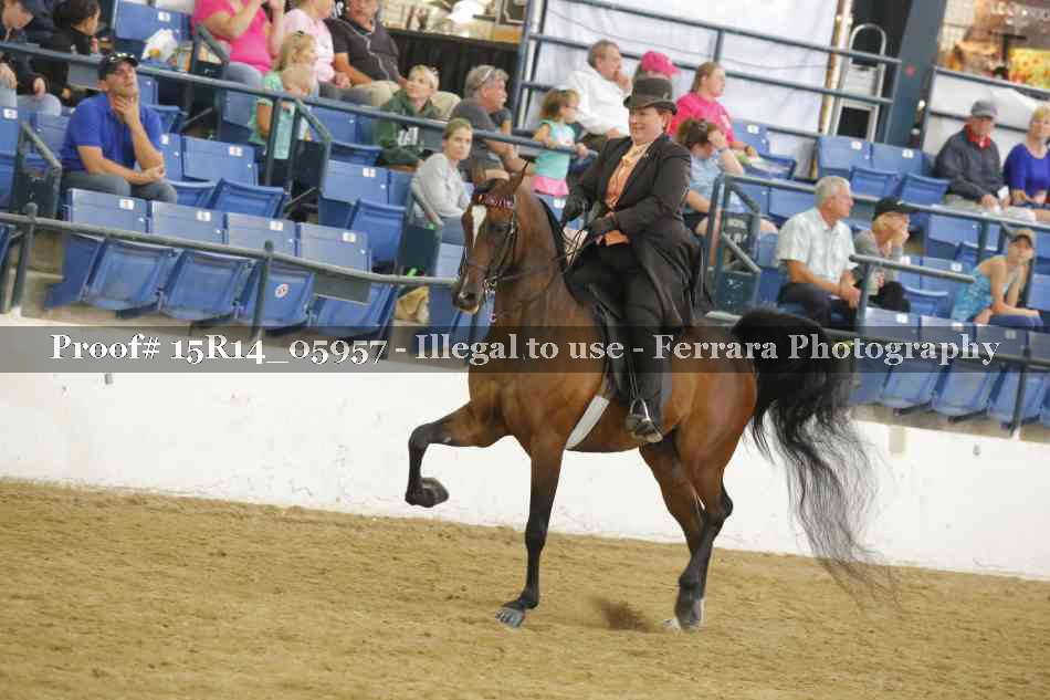 Proof Number 15R14_05957