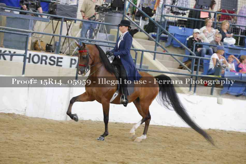 Proof Number 15R14_05959
