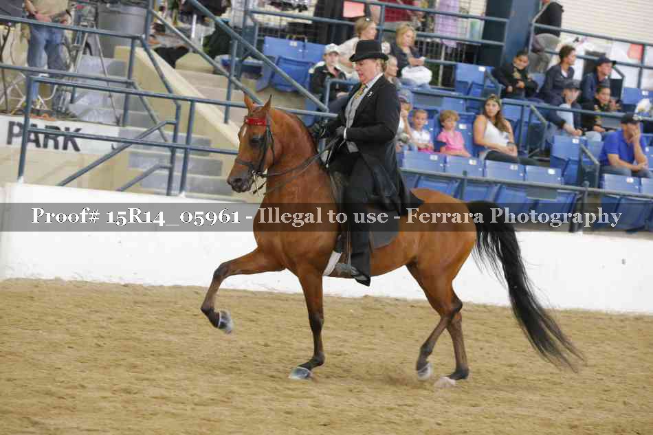 Proof Number 15R14_05961