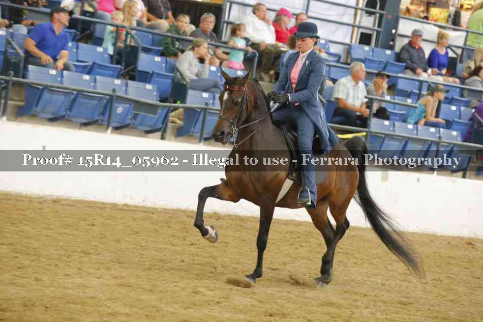 Proof Number 15R14_05962