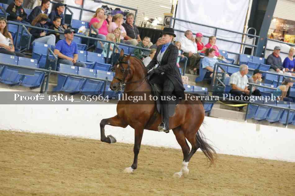 Proof Number 15R14_05964
