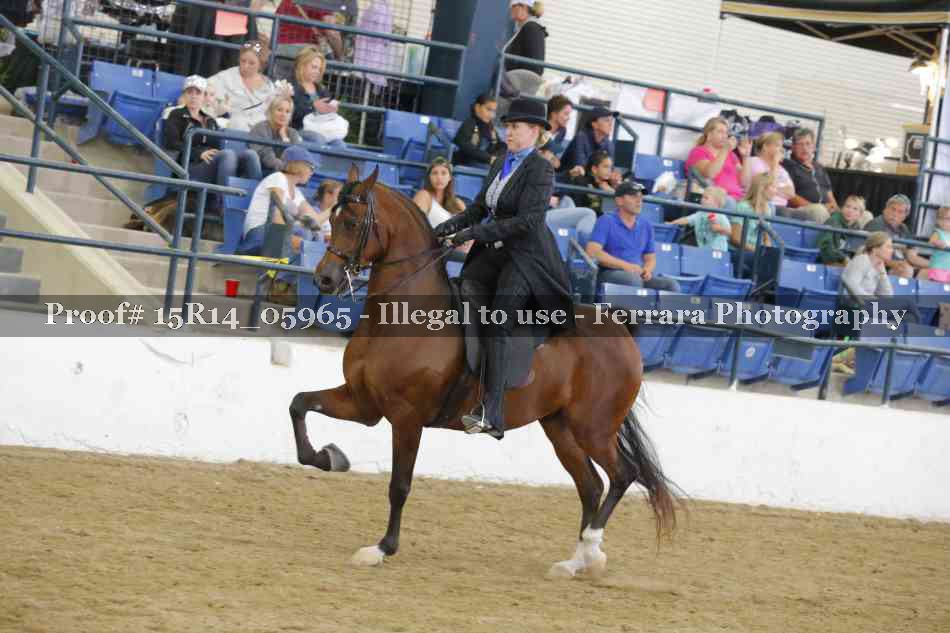 Proof Number 15R14_05965