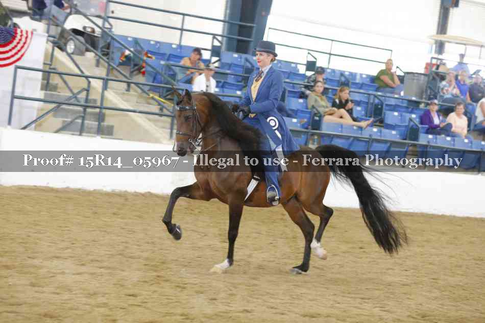 Proof Number 15R14_05967