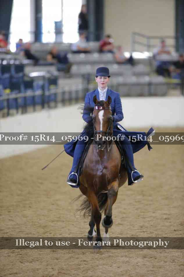 Proof Number 15R14_05969