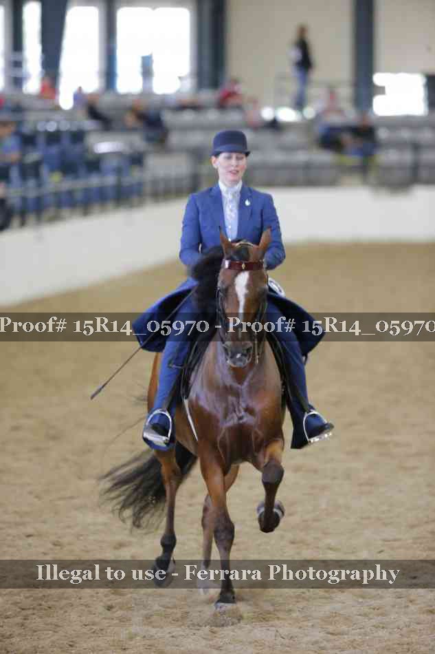 Proof Number 15R14_05970