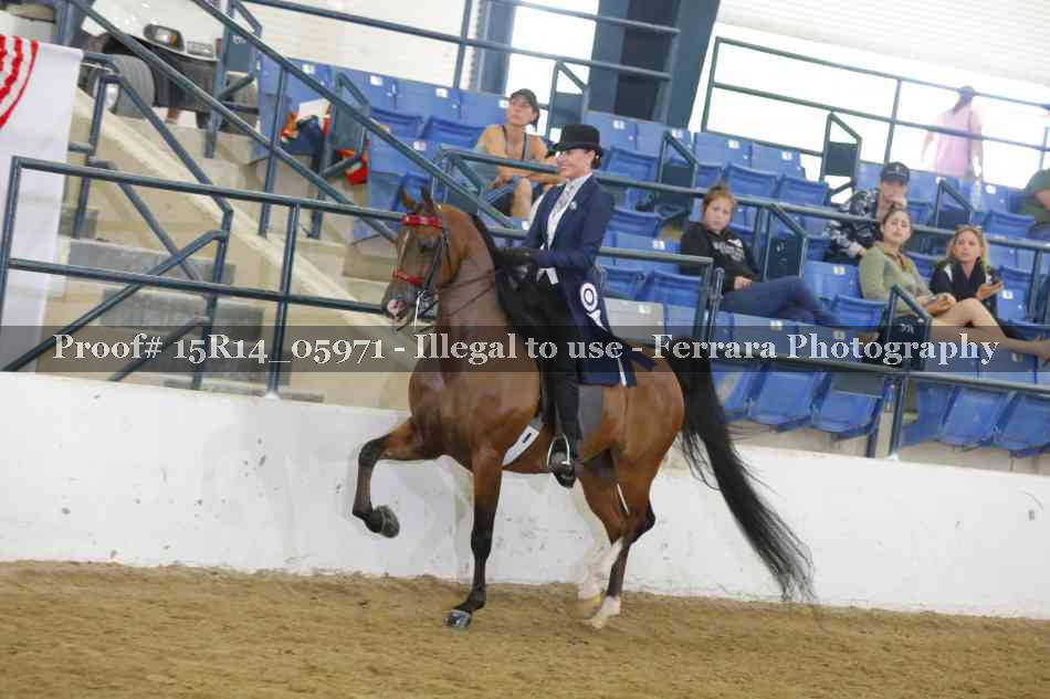 Proof Number 15R14_05971