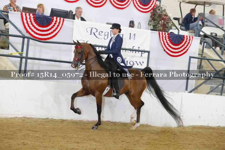 Proof Number 15R14_05972