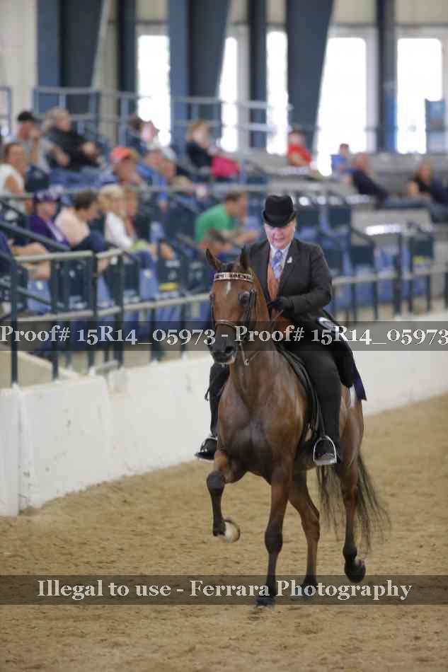 Proof Number 15R14_05973