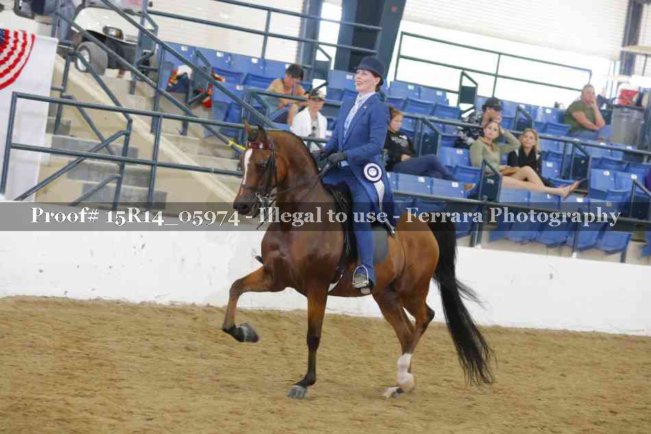 Proof Number 15R14_05974