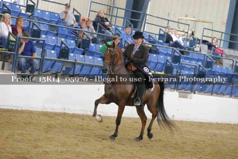 Proof Number 15R14_05976