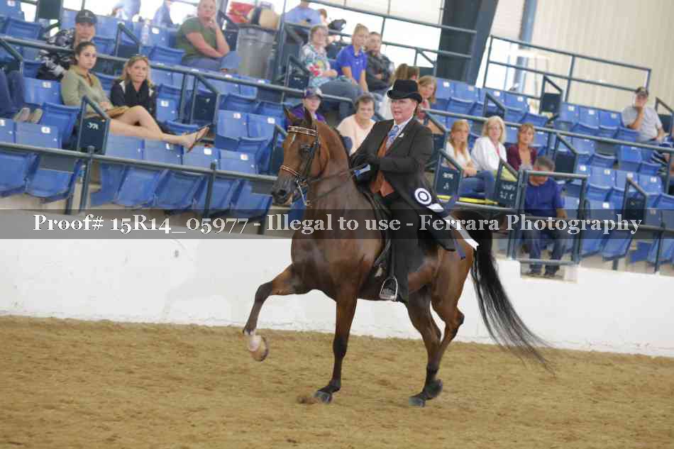 Proof Number 15R14_05977