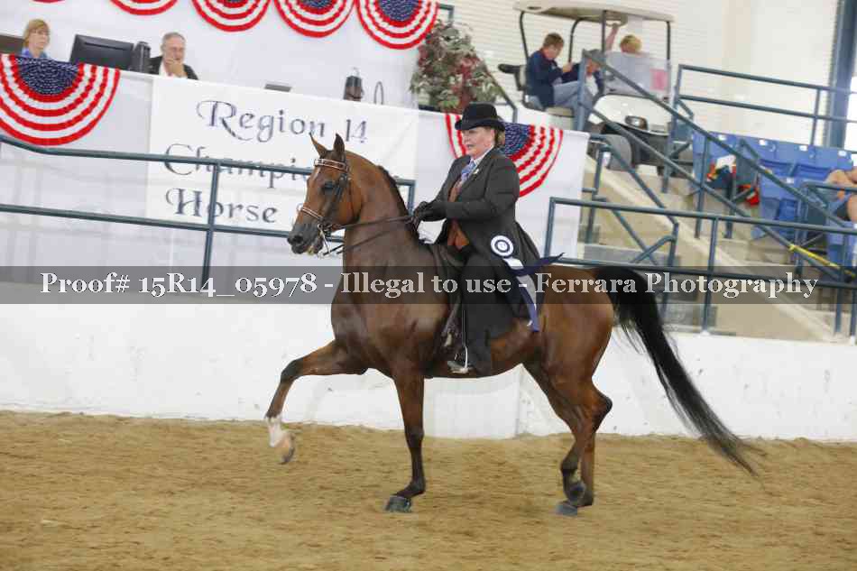 Proof Number 15R14_05978