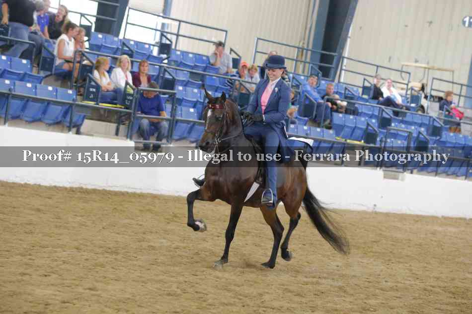 Proof Number 15R14_05979
