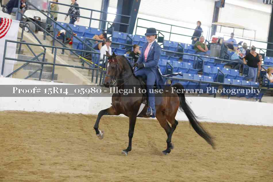 Proof Number 15R14_05980