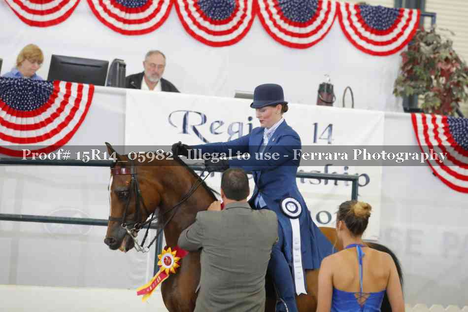Proof Number 15R14_05982