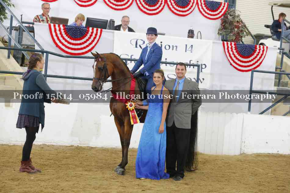 Proof Number 15R14_05984