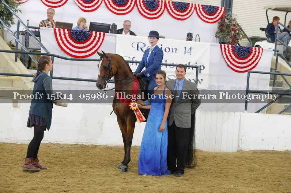 Proof Number 15R14_05986