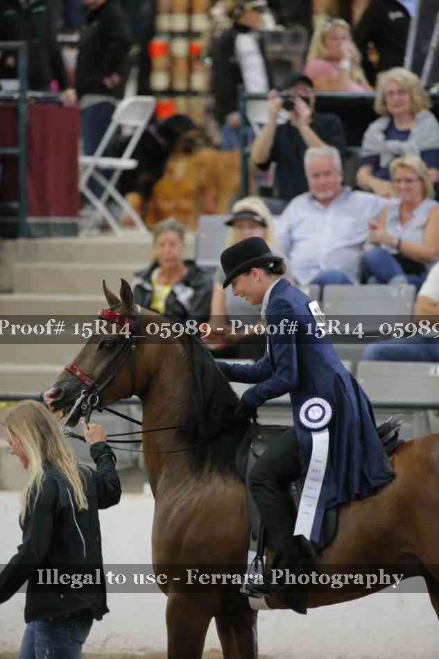 Proof Number 15R14_05989