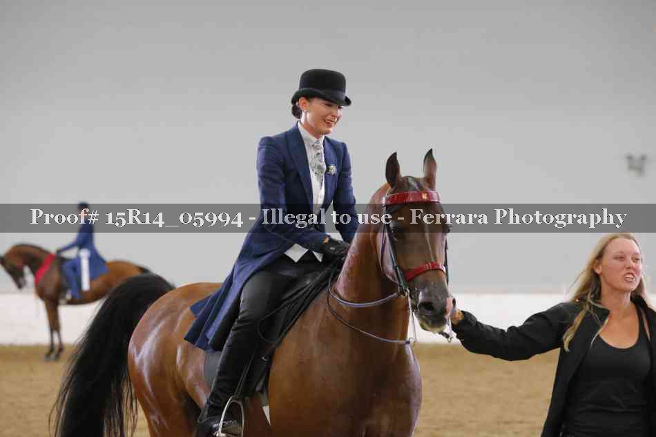 Proof Number 15R14_05994