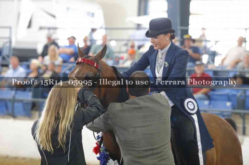 Proof Number 15R14_05995