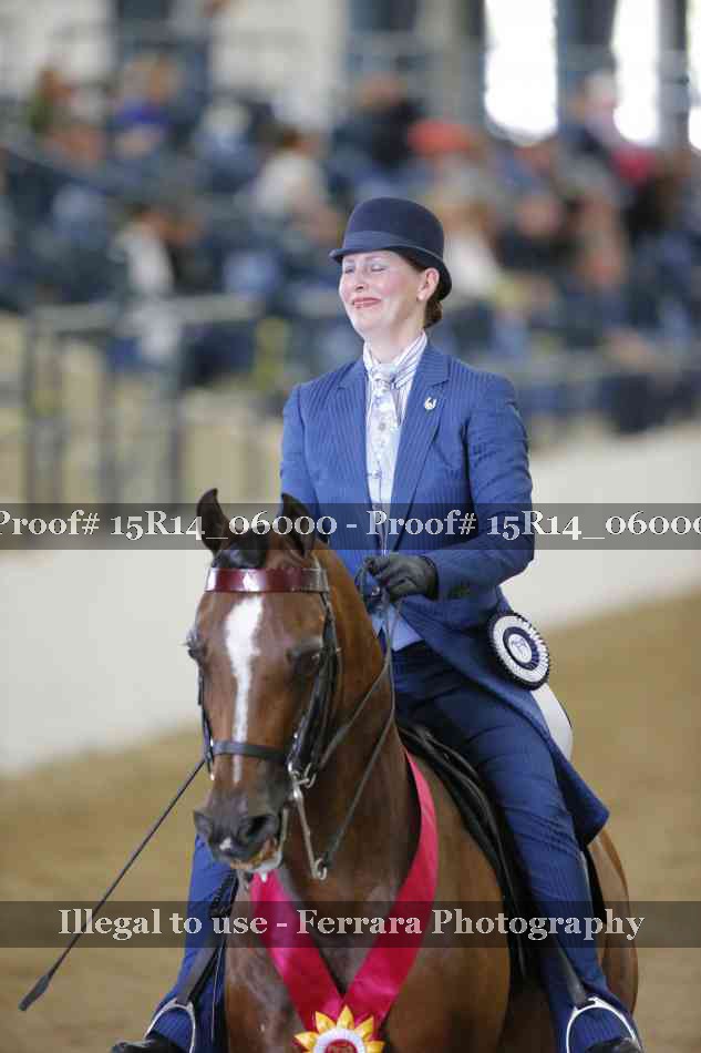 Proof Number 15R14_06000