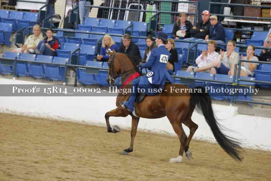 Proof Number 15R14_06002