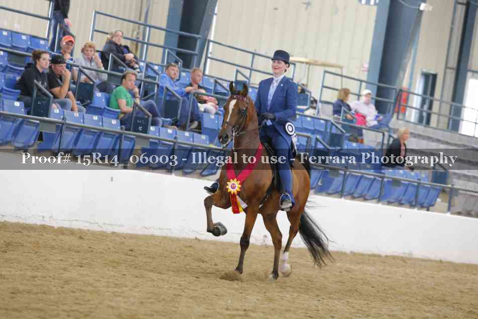 Proof Number 15R14_06003