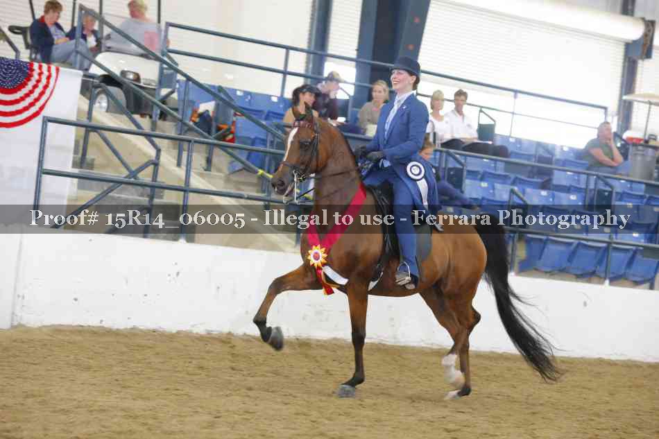 Proof Number 15R14_06005