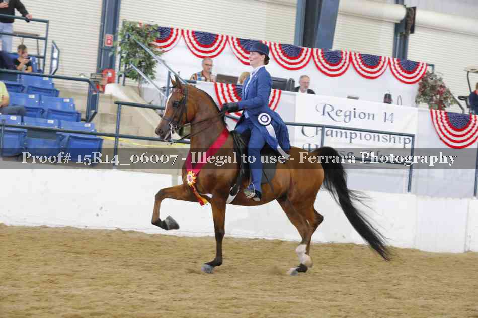 Proof Number 15R14_06007