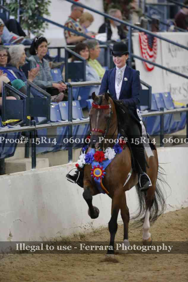 Proof Number 15R14_06010