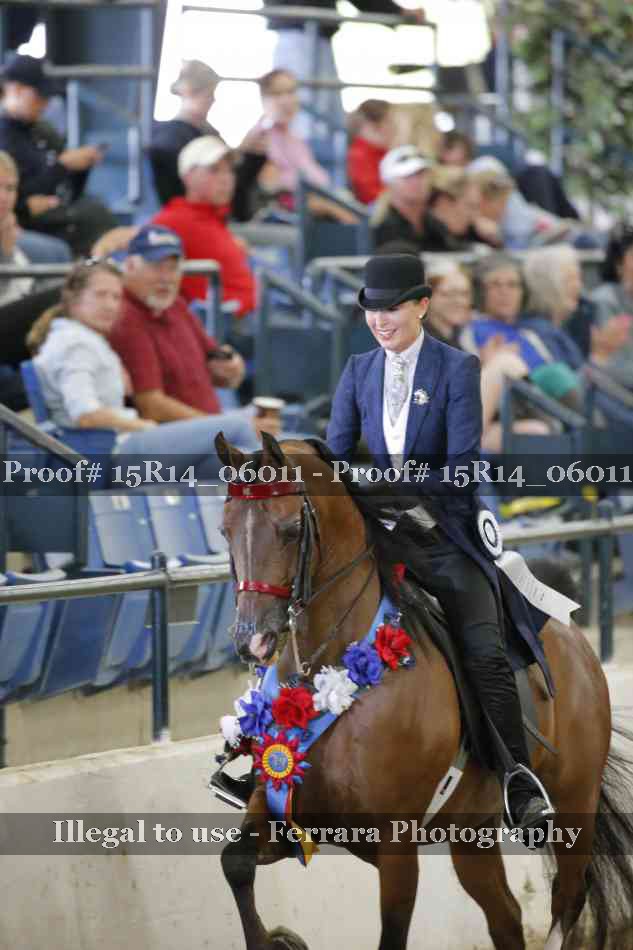 Proof Number 15R14_06011