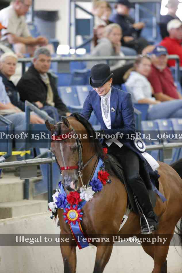 Proof Number 15R14_06012
