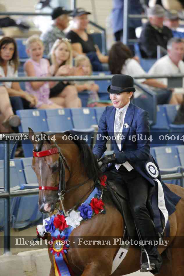 Proof Number 15R14_06014