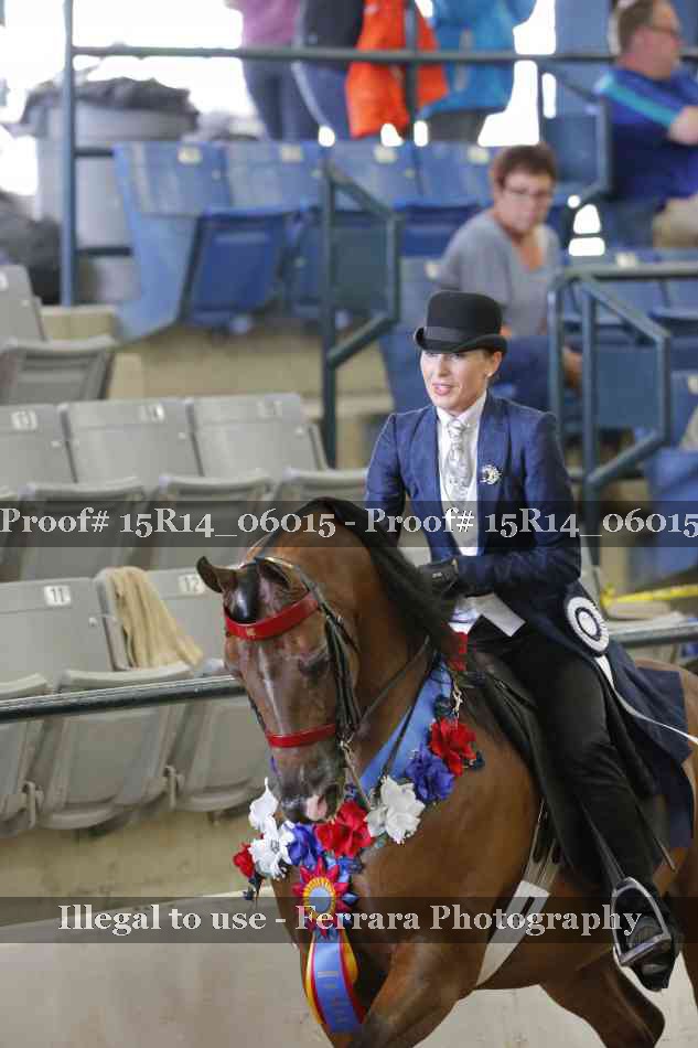 Proof Number 15R14_06015