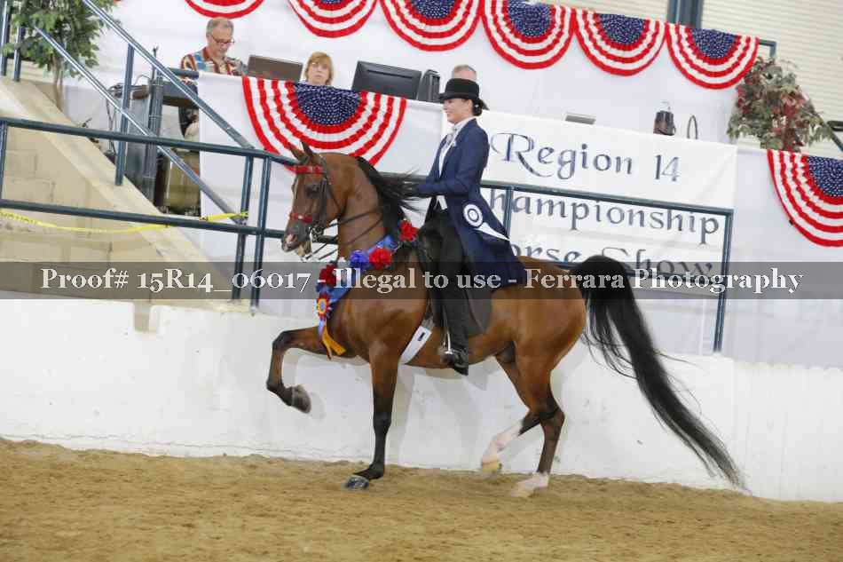 Proof Number 15R14_06017